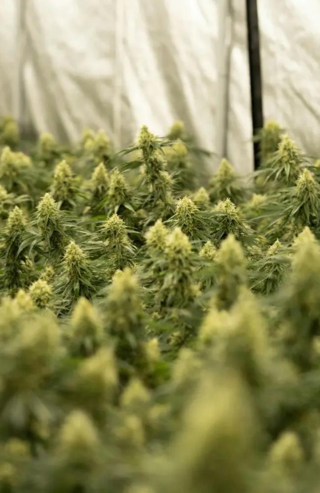 650x1000(6